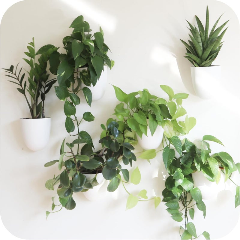 Make Good Store PlantPod Classic - Self-Watering Wall Planters (6, White) - Easy to Water and Install - Lightweight - Design Your Own Vertical Garden - Wall Planters for Indoor Plants - Image 1